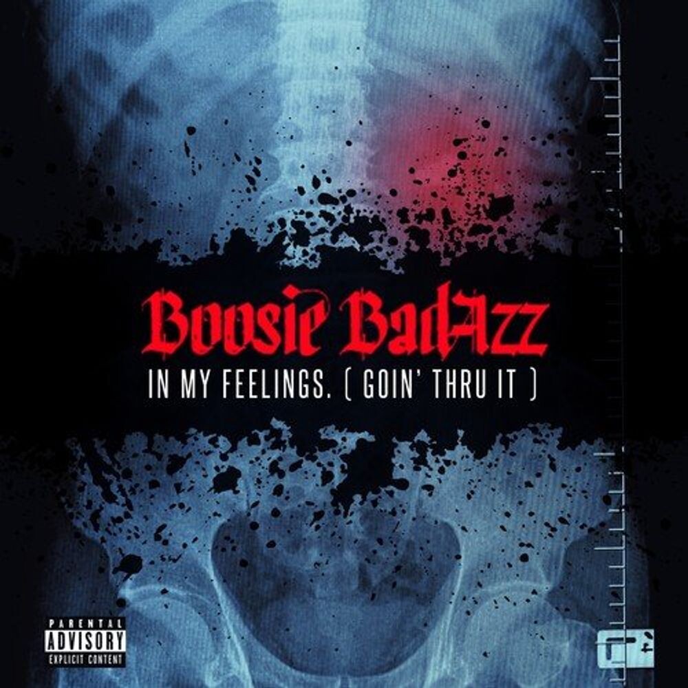 

Диск CD In My Feelings (Goin' Thru It) - Boosie Badazz