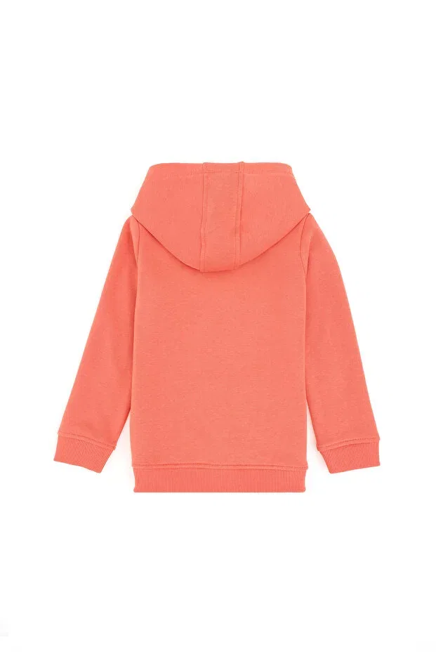 Детское худи для девочек с капюшоном U.S. Polo Assn., Multicolor — фото 2