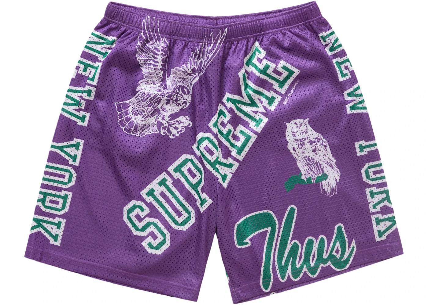 Мужские шорты с сетчатым материалом Supreme Short, Purple