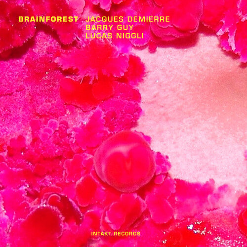 

CD диск Demierre, Jacques: Brainforest