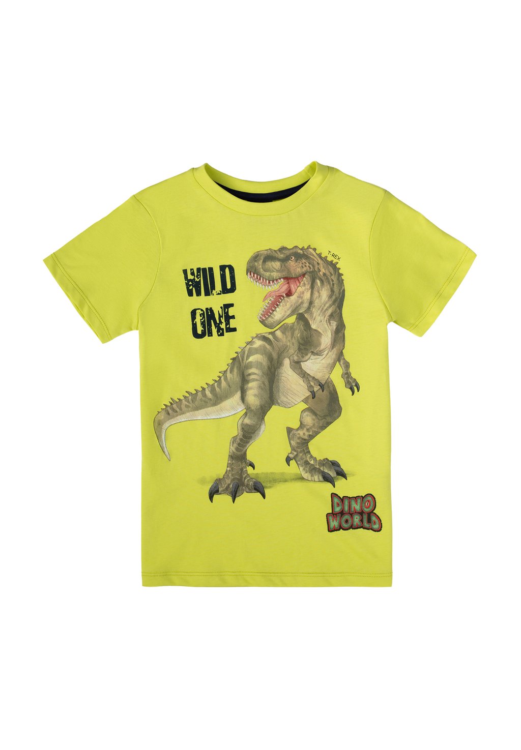 

Футболка с принтом DINO WORLD Dino World, зеленый