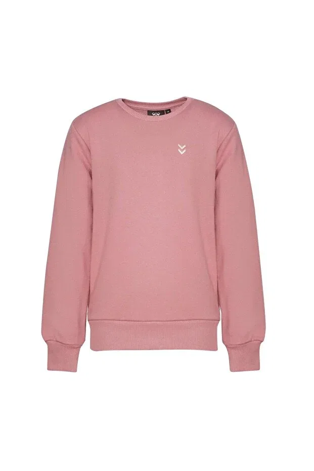 Детские свитшот для мальчиков с длинным рукавом hmlpulse Hummel, Rose Dry — фото 2