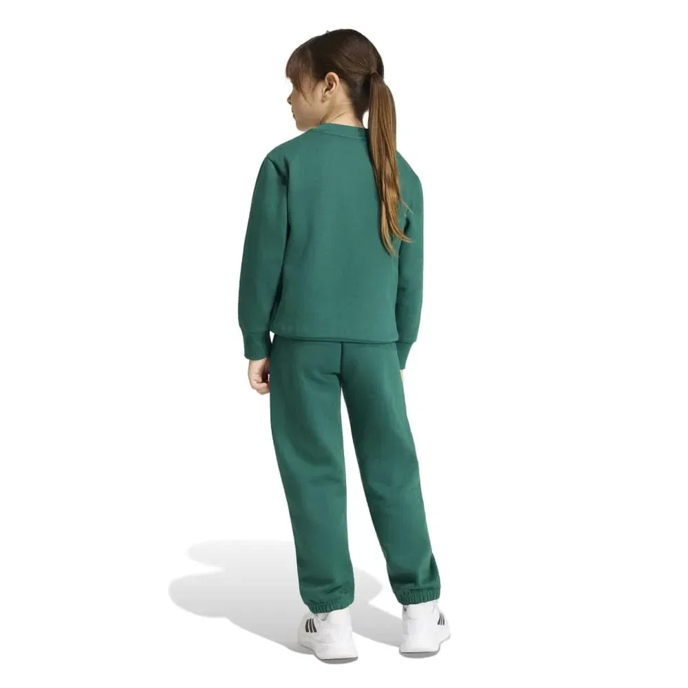 Детский комплект для девочек с длинным рукавом Adidas Essentials Joggers LK, Green — фото 2