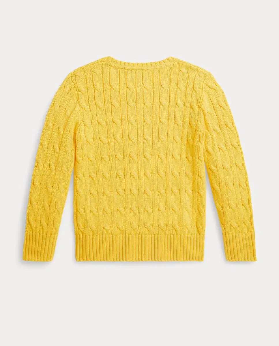 Детский джемпер для мальчиков с жаккардовым узором Polo Ralph Lauren, Amarillo — фото 2
