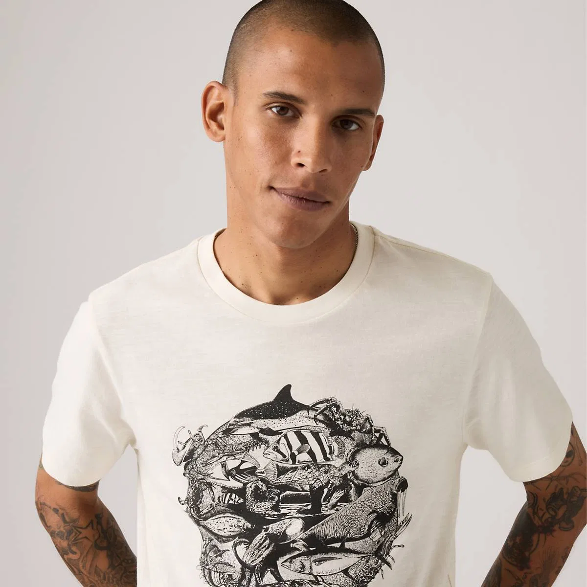 Стандартная классическая футболка с графическим принтом Levi's, Levis Aquatic Egret - White — фото 2
