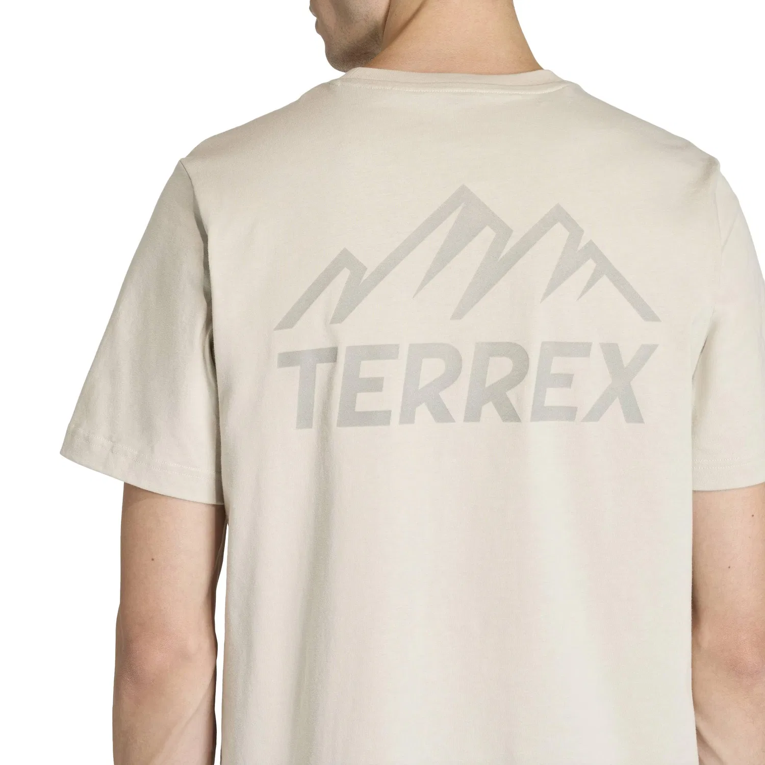 Мужская футболка с принтом Terrex Mountain adidas, Wonder Alumina — фото 4