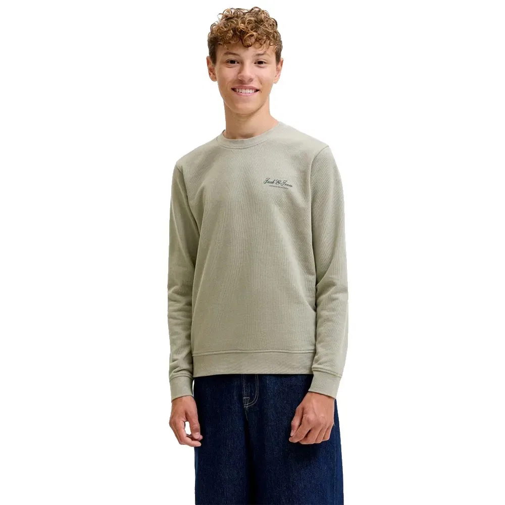 Детский свитшот с принтом Archive Graphic Jack & jones, Green