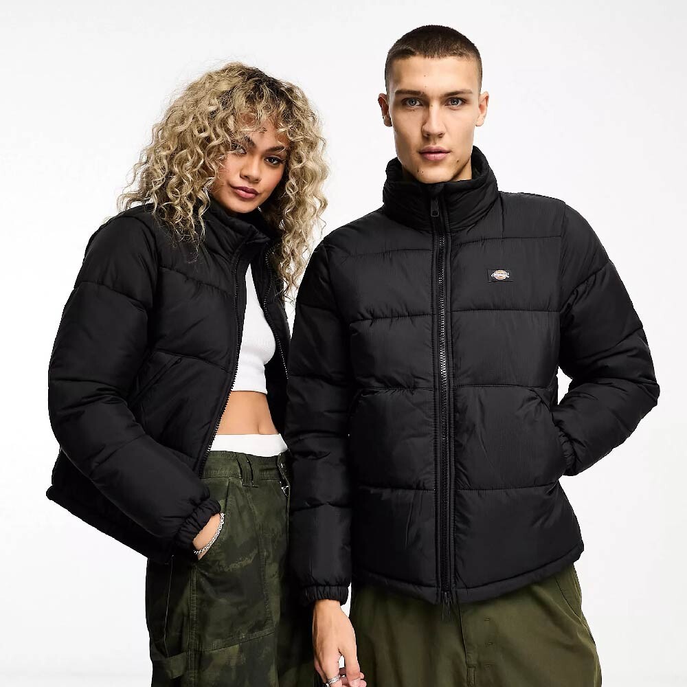 

Куртка Dickies Waldenburg Puffer, черный