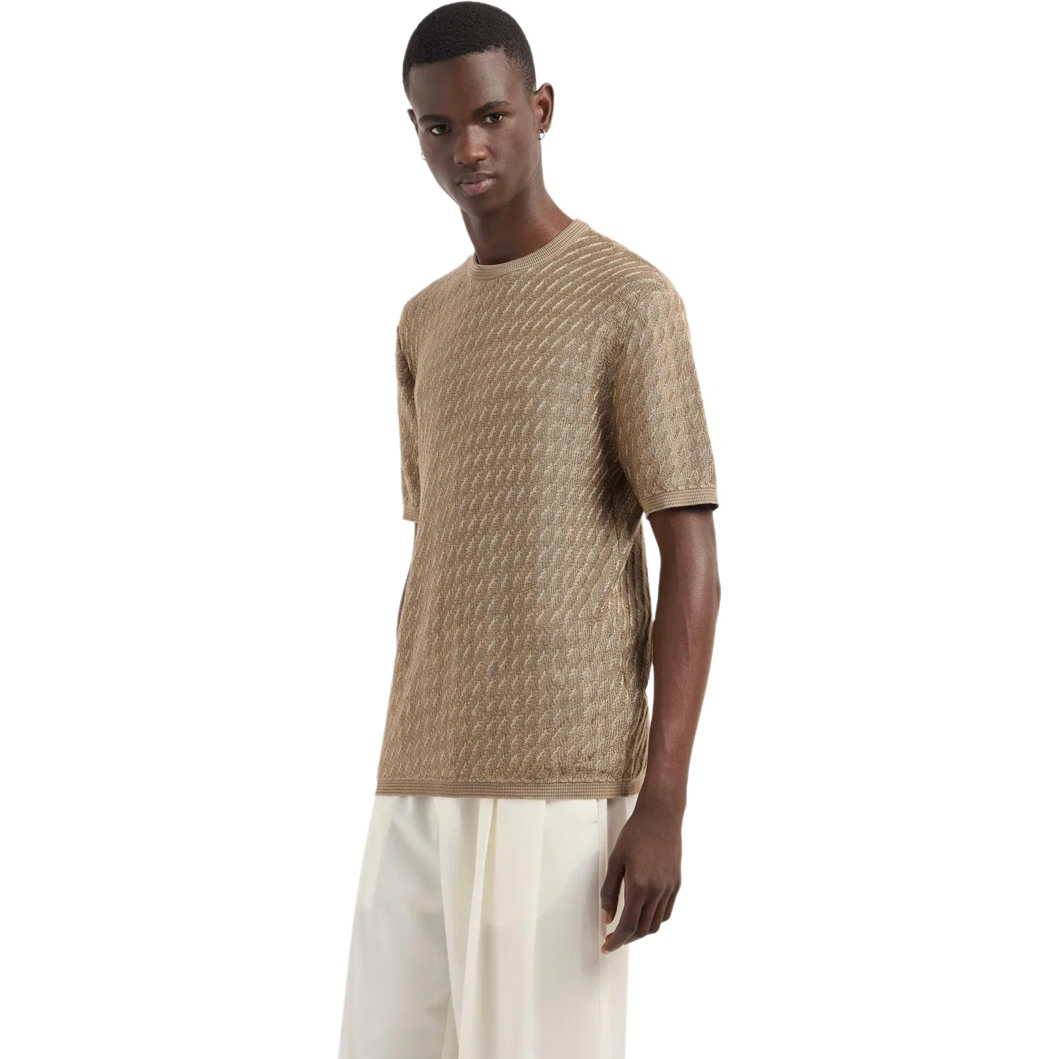 Мужская футболка EMPORIO ARMANI, Brown — фото 2