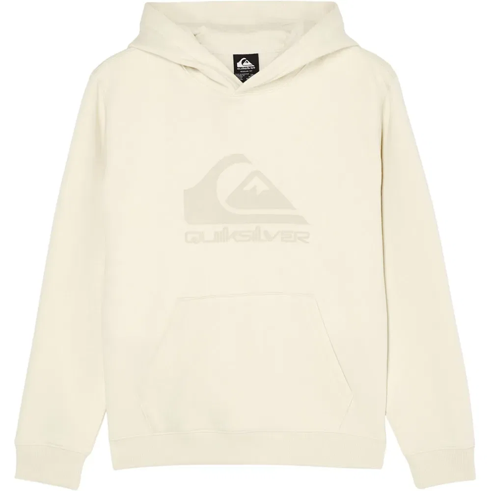 Детское худи с принтом Comp Logo Quiksilver, Beige