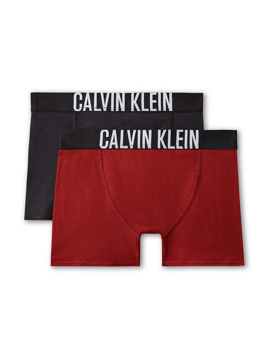 Трусы Calvin Klein Underwear, стандартные, темно-синие, красные — фото 2