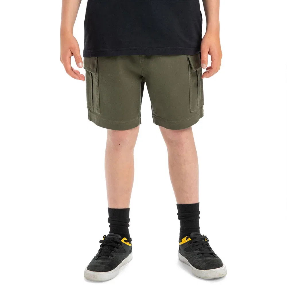 Шорты карго Taxer Quiksilver, зеленый