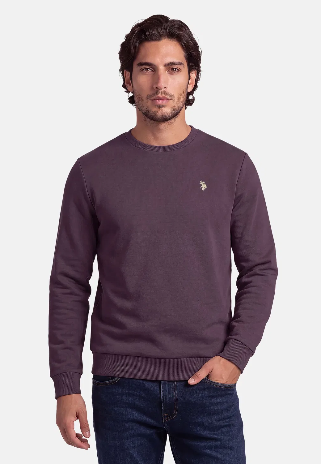 Пуловер с круглым вырезом USJaxxon U.S. Polo Assn., сливовый