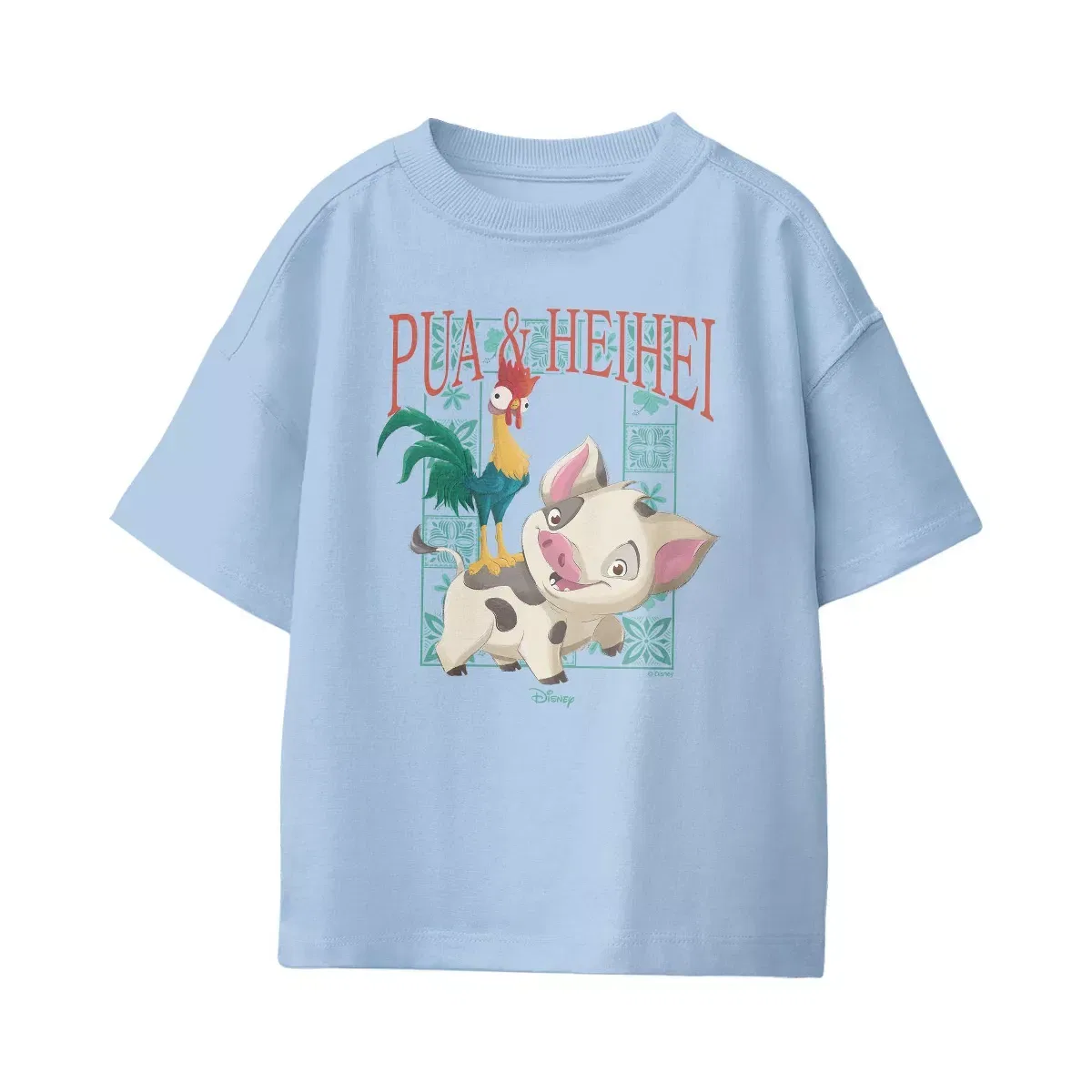 Детская футболка с принтом Pua And Hei Hei Frame Disney, Light Blue — фото 2