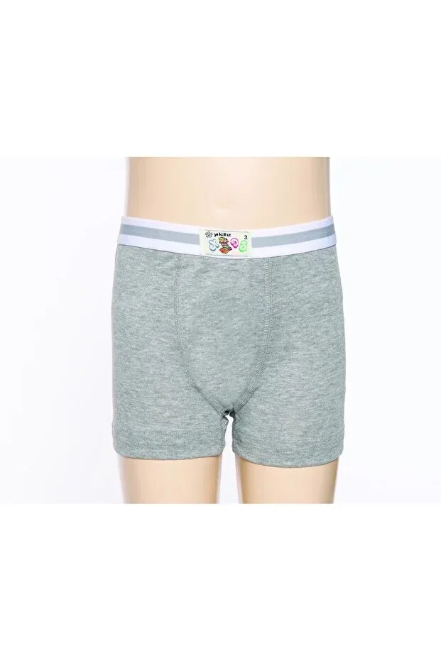 Детские боксеры для мальчиков хлопковые Yildiz 6-piece boy's cotton lycra boxer q400 Yıldız Çamaşır, Gray