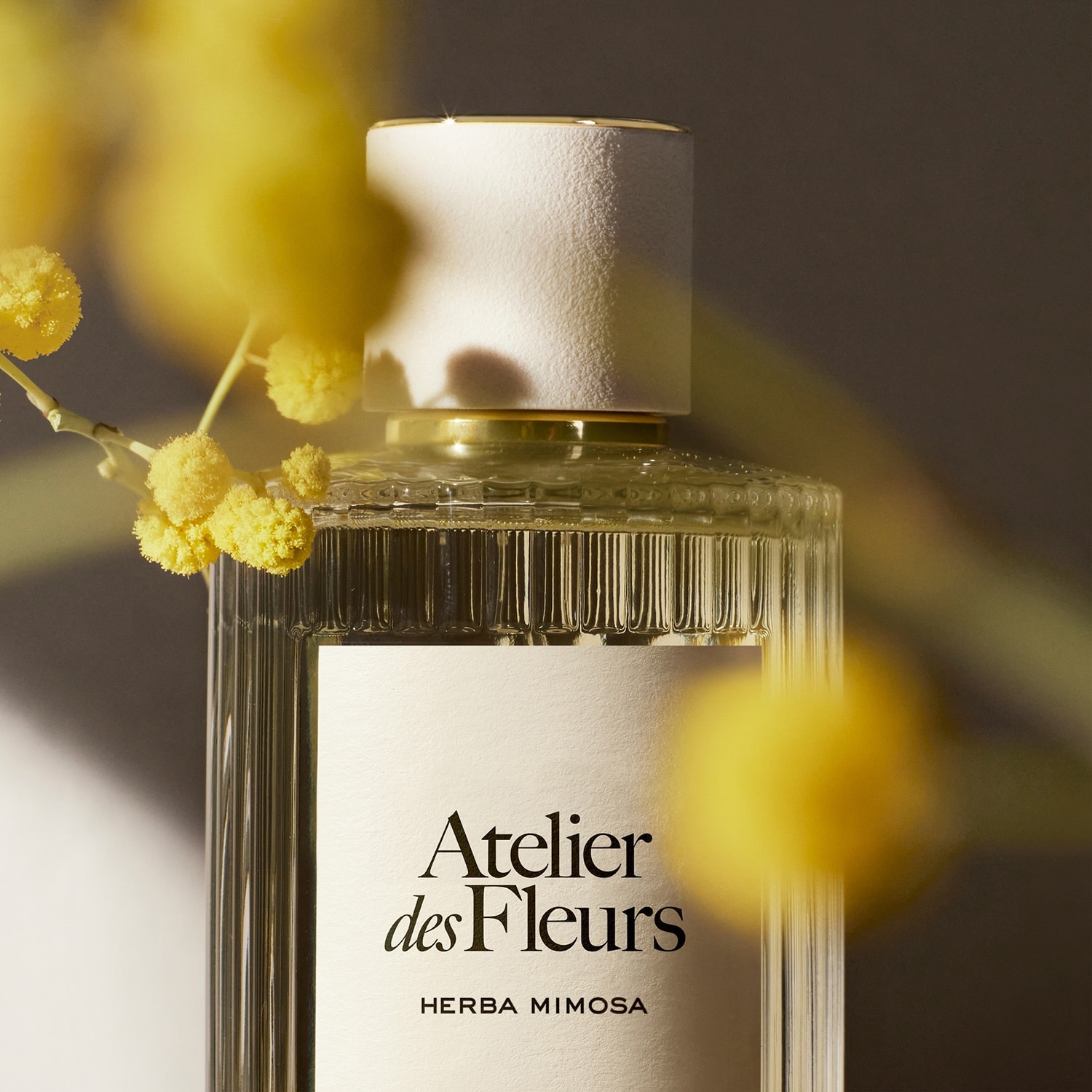 Парфюмированная вода Chloe Atelier des Fleurs Herba Mimosa — фото 3