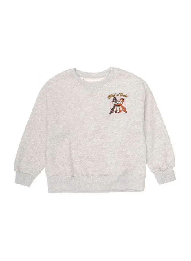 Худи с вышивкой Chip 'n' Dale на флисе Zara, светло-серый