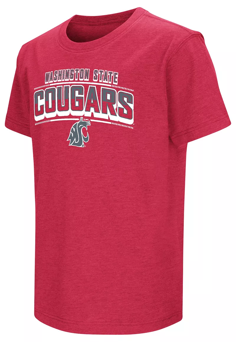 

Малиновая футболка Colosseum Youth Washington State Cougars