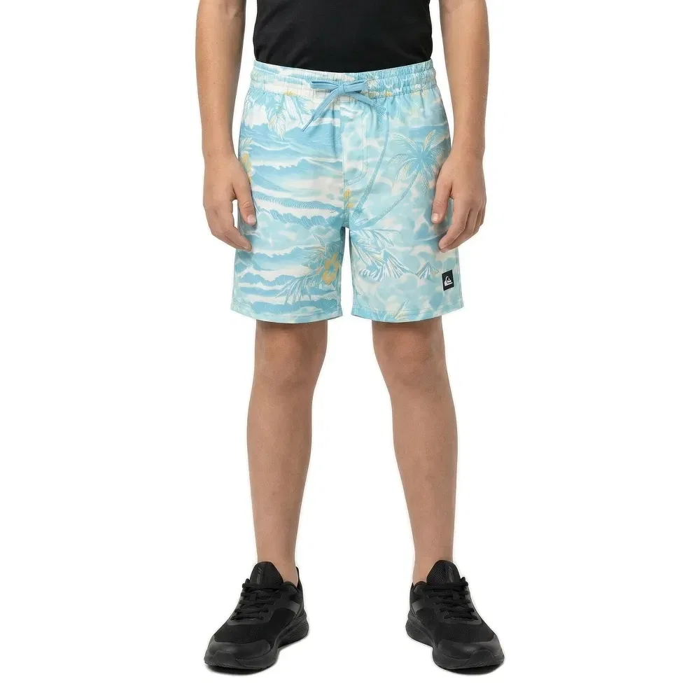Плавки Everyday Printed Volley 14″ Quiksilver, синий — фото 3