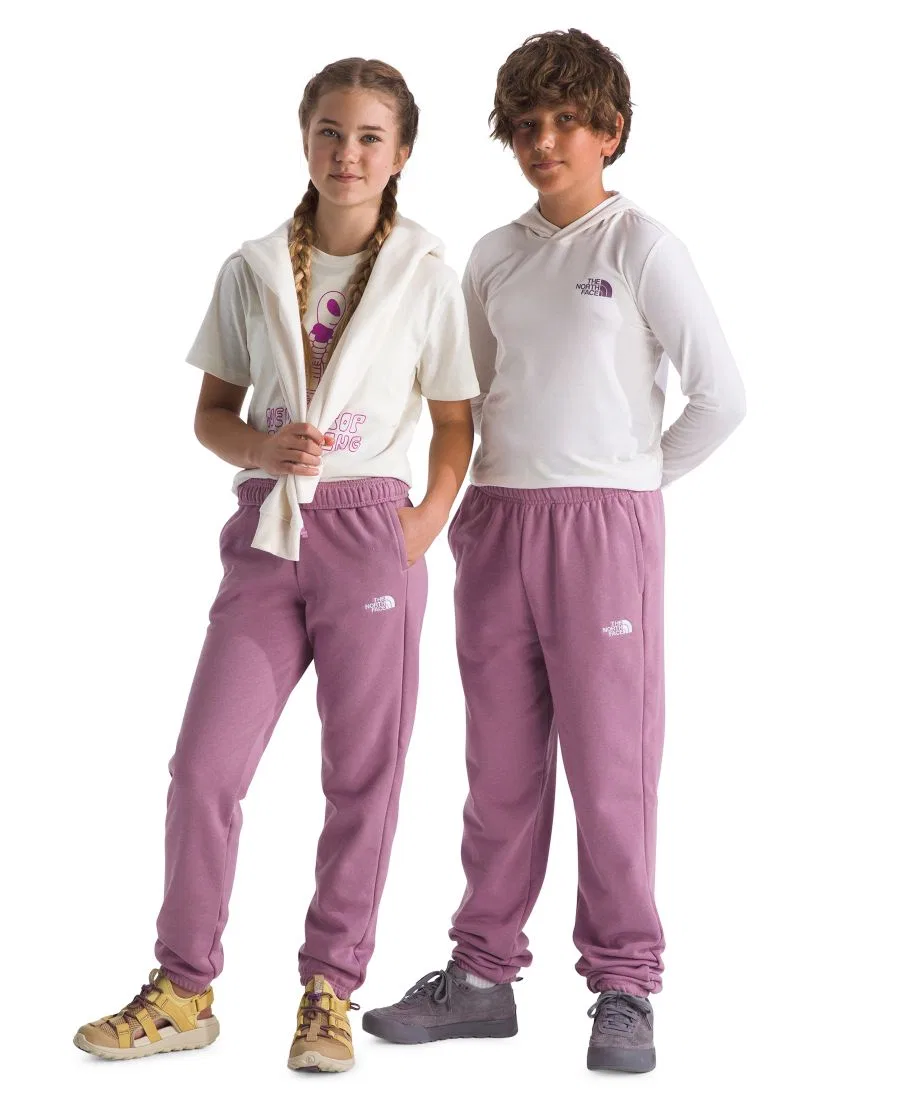 Брюки свободного кроя Evolution Simple Dome The North Face, Hushed Lavender — фото 2