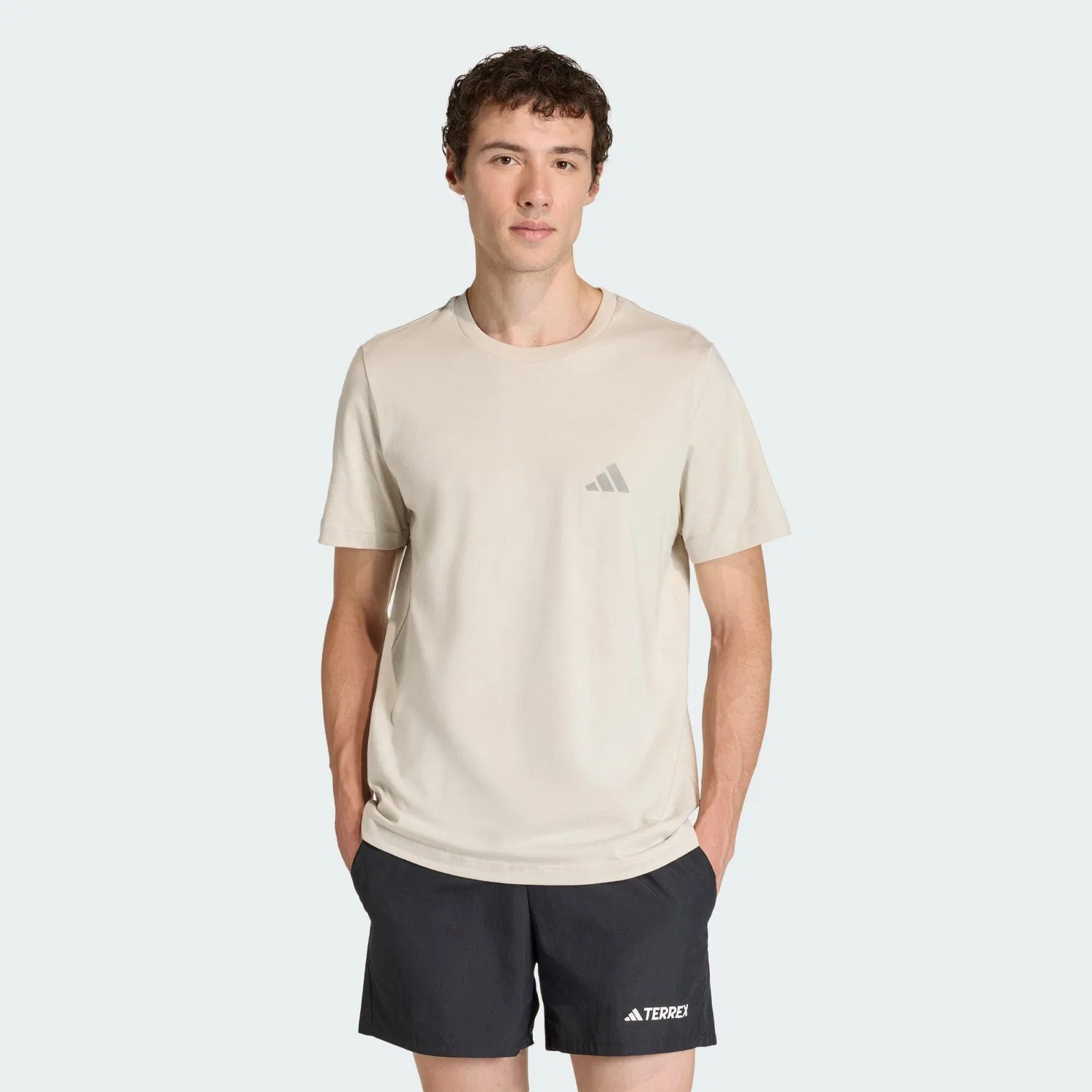 Мужская футболка с принтом Terrex Mountain Graphic Adidas, Beige