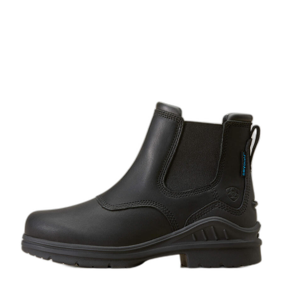 Водонепроницаемые женские ботинки Ariat Barnyard Twin Gore II H2O
