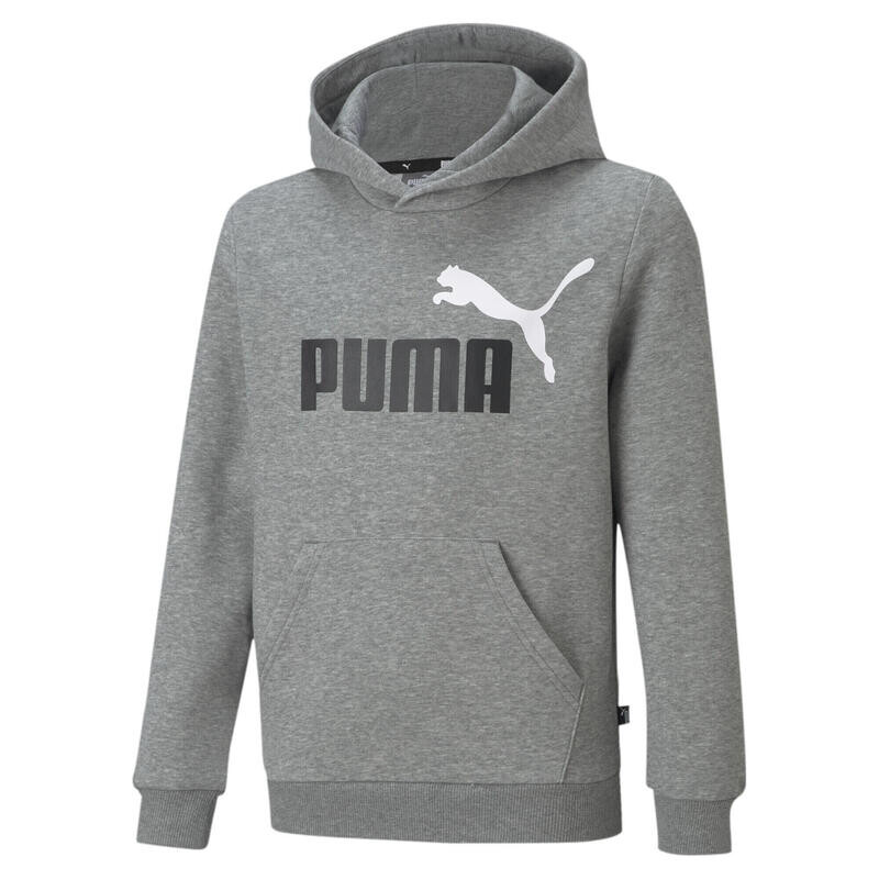 

Спортивная толстовка Puma, цвет aschgrau