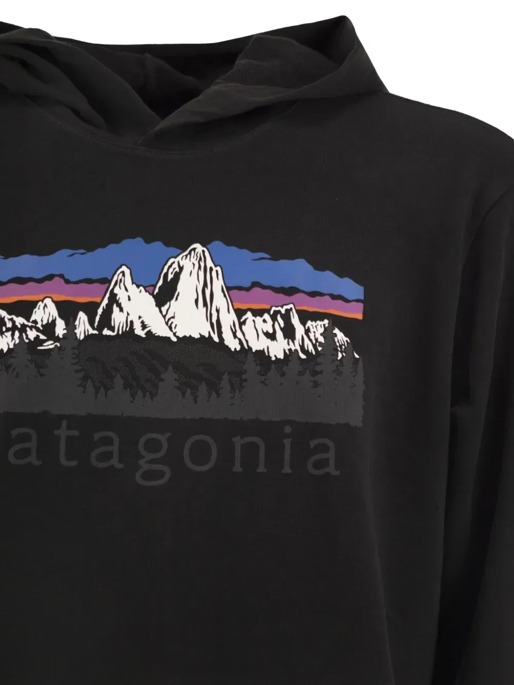 Худи из хлопка Patagonia Fitz Roy Foothills с графическим принтом, черный — фото 4