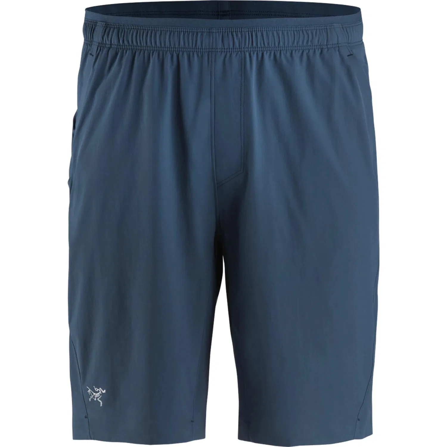 Мужские шорты с принтом Ladon Arcteryx, Ladon