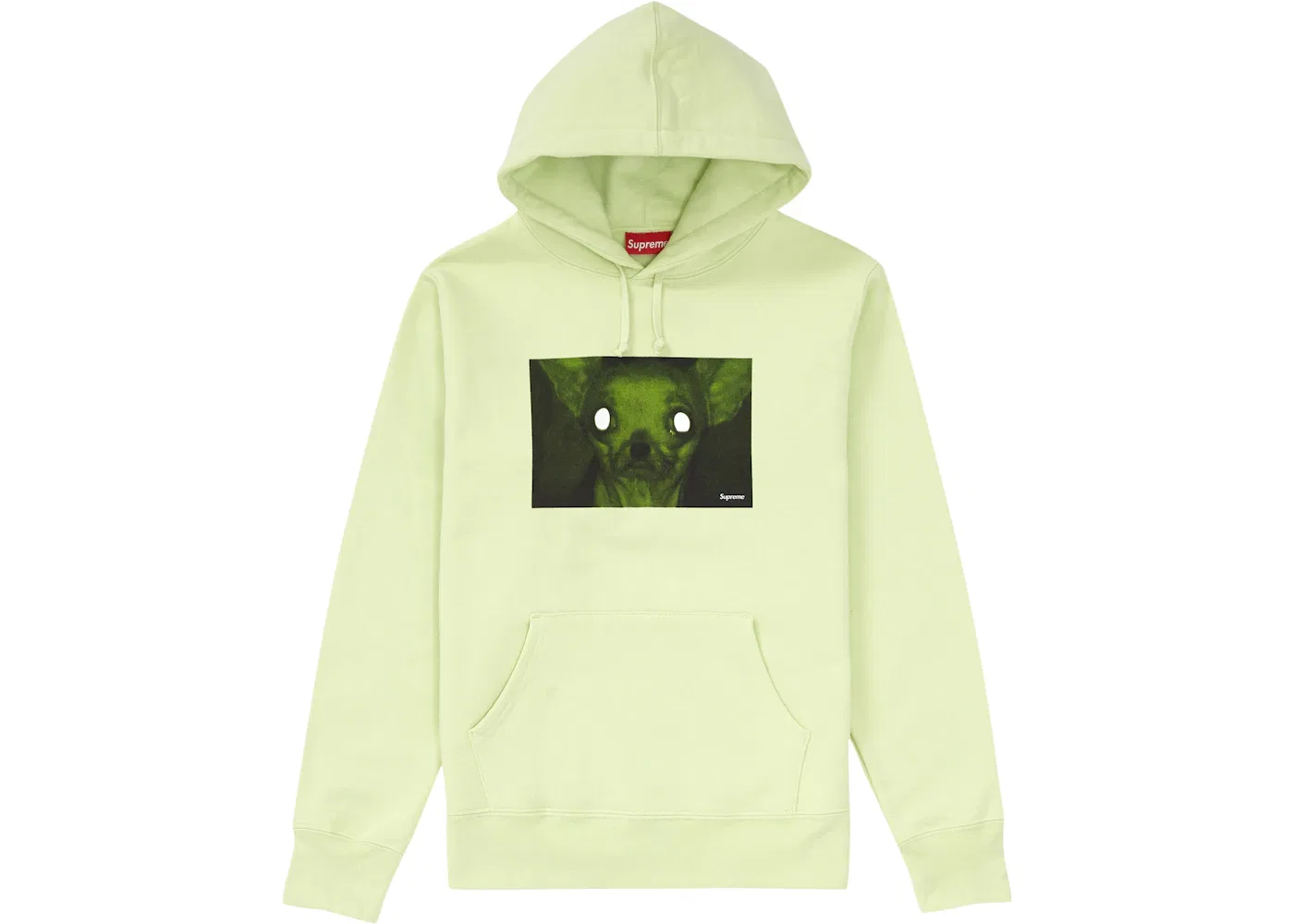 Мужской худи с принтом Supreme Chris Cunningham Chihuahua, Pale Mint