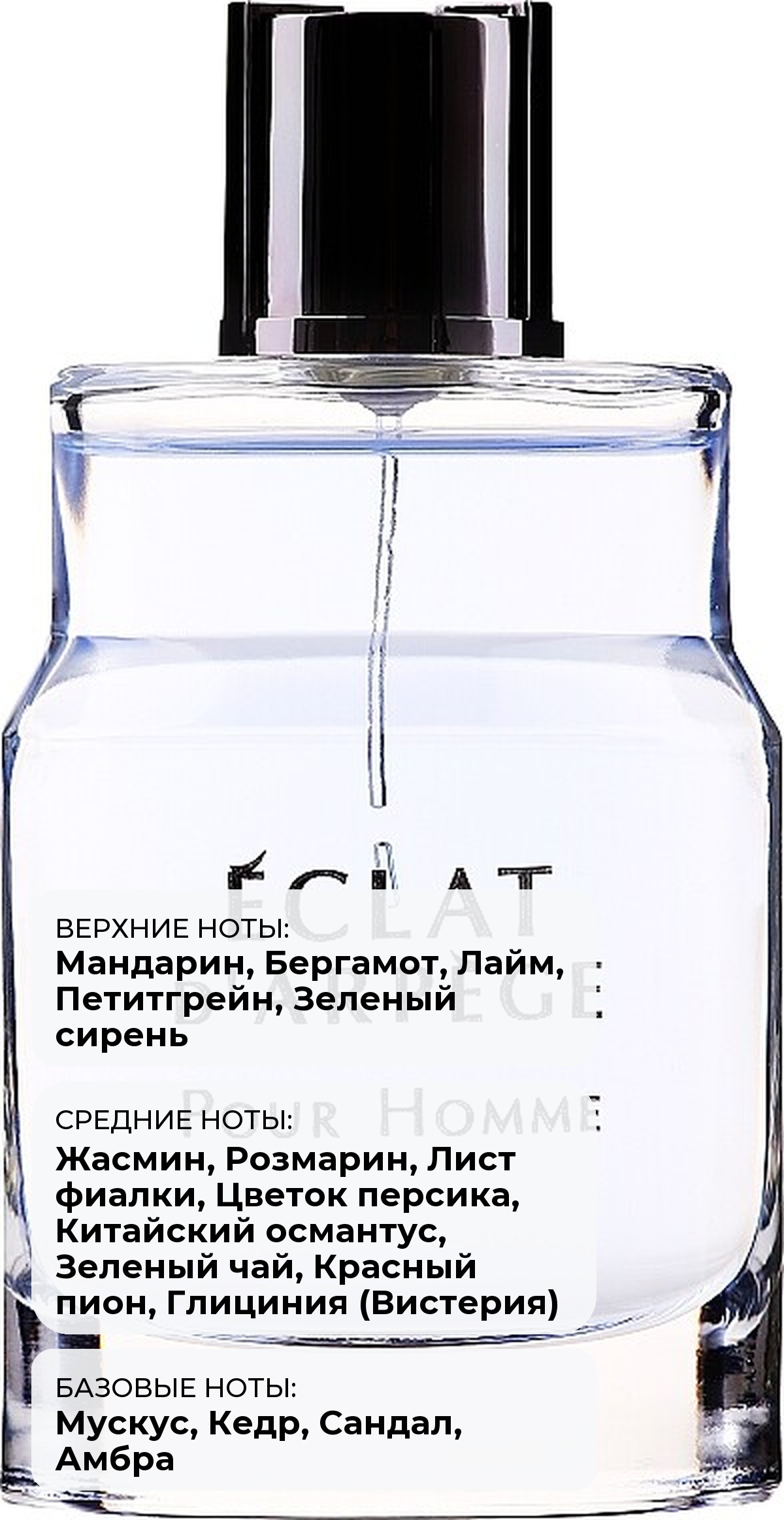 Lanvin Eclat d'Arpege Pour Homme — фото 3