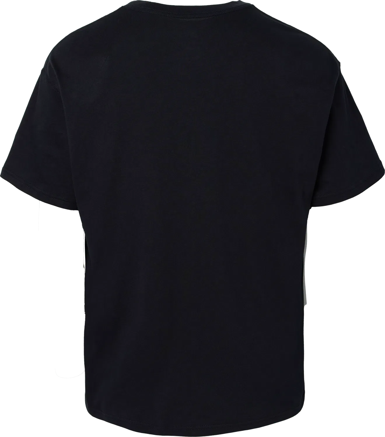 Мужская футболка Regular Fit Nike, черный — фото 2