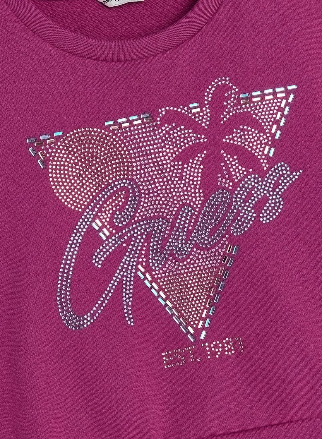 Свитшот с принтом Youth Graphic Guess, пурпурный — фото 4