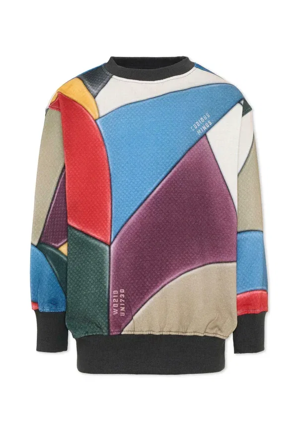 Толстовка, флисовая, Felpa, Molo, Multicoloured, мультиколор