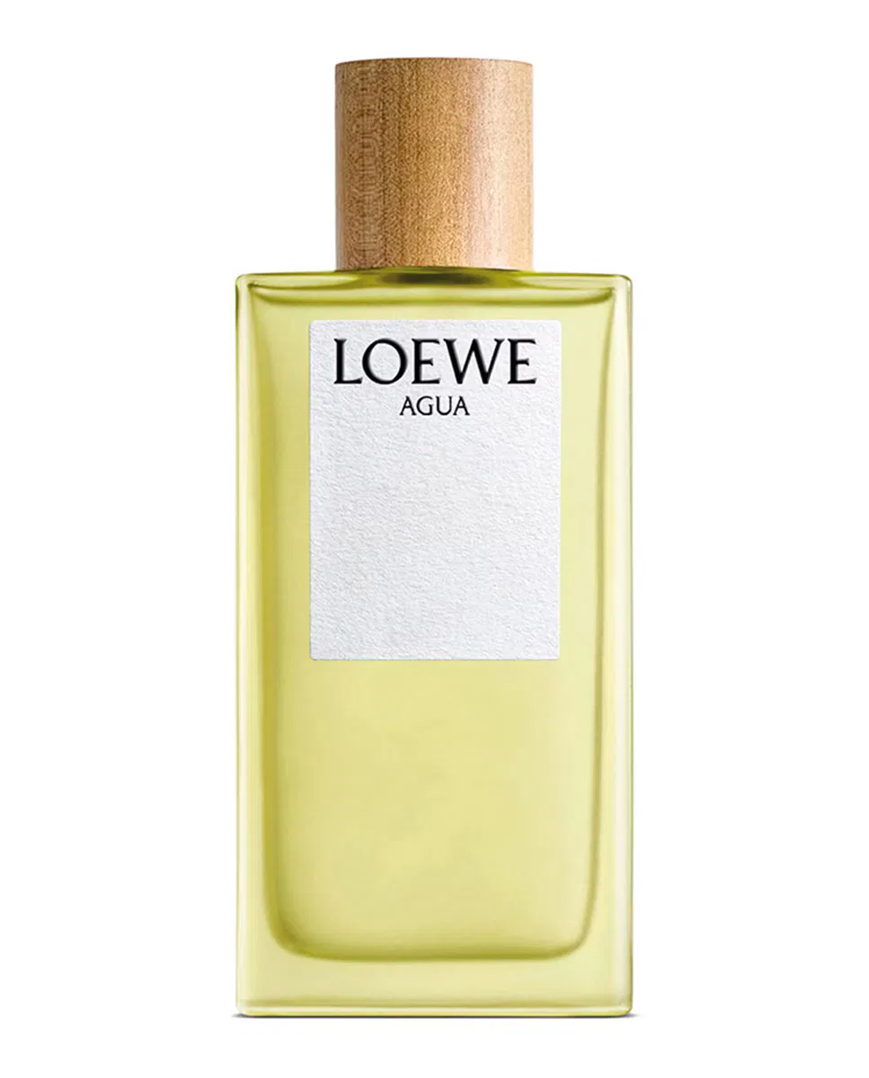 Туалетная вода, 50 мл, Agua, LOEWE