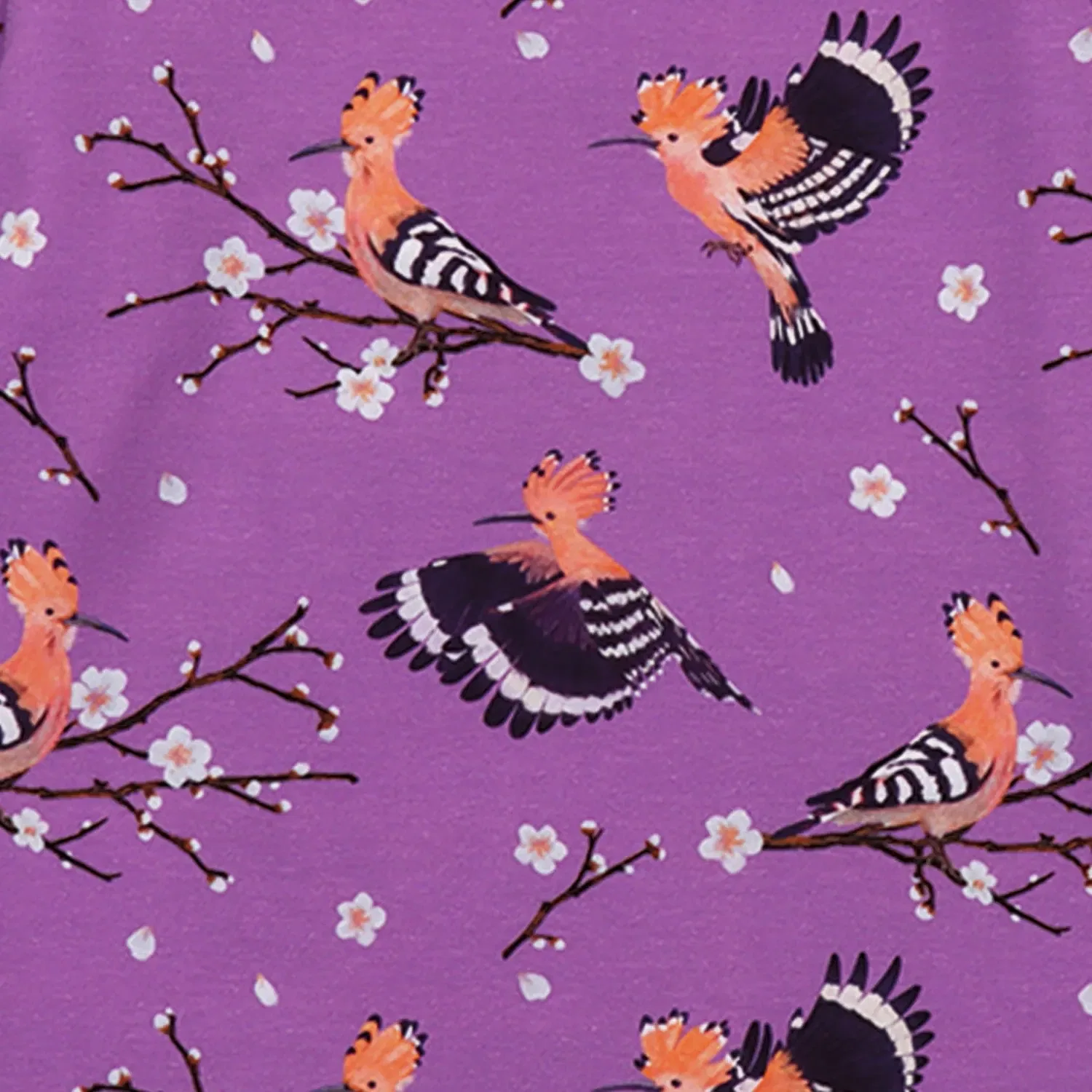 Штаны джоггеры Happy Hoopoes Walkiddy, разноцветный — фото 3