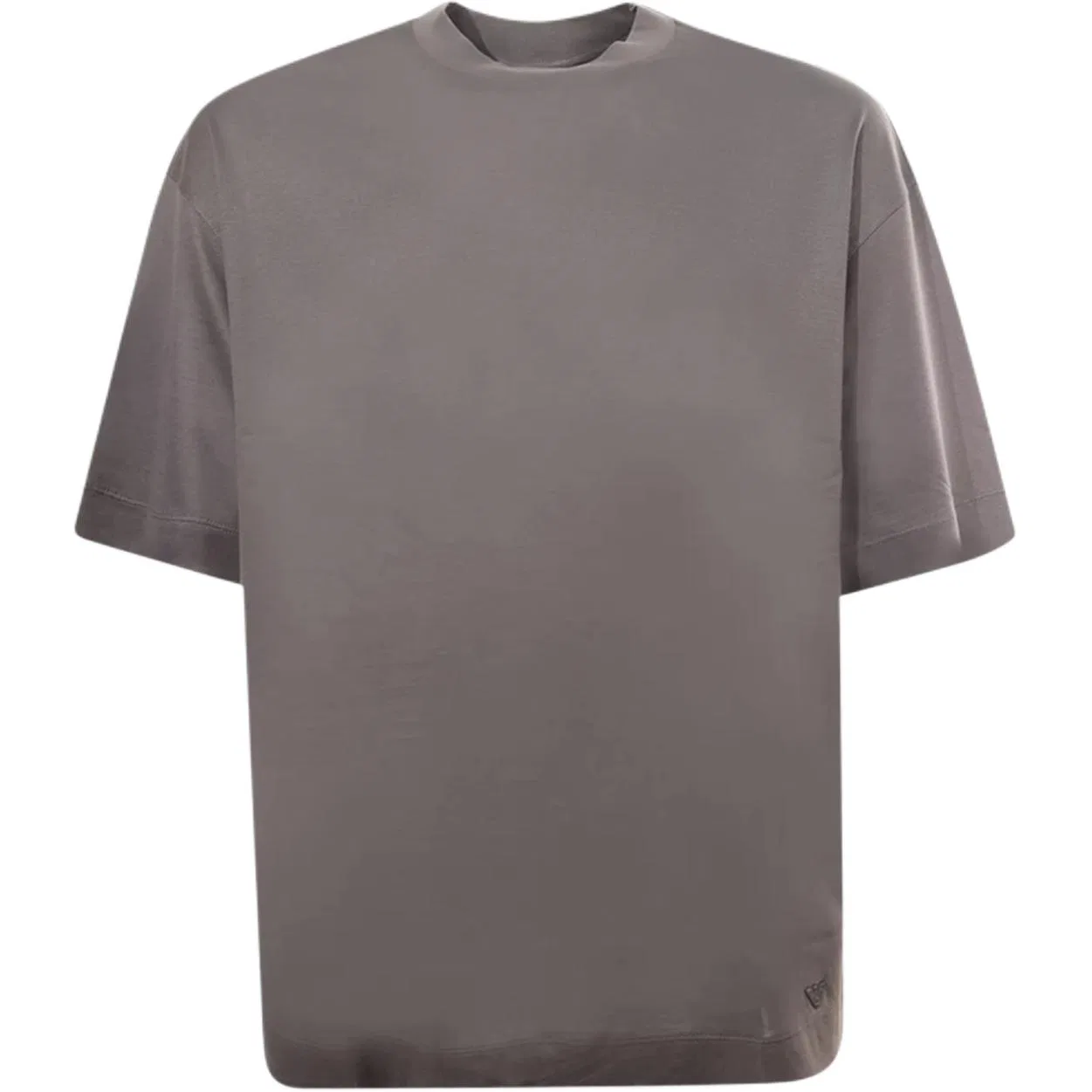 Мужская футболка оверсайз EMPORIO ARMANI, Brown