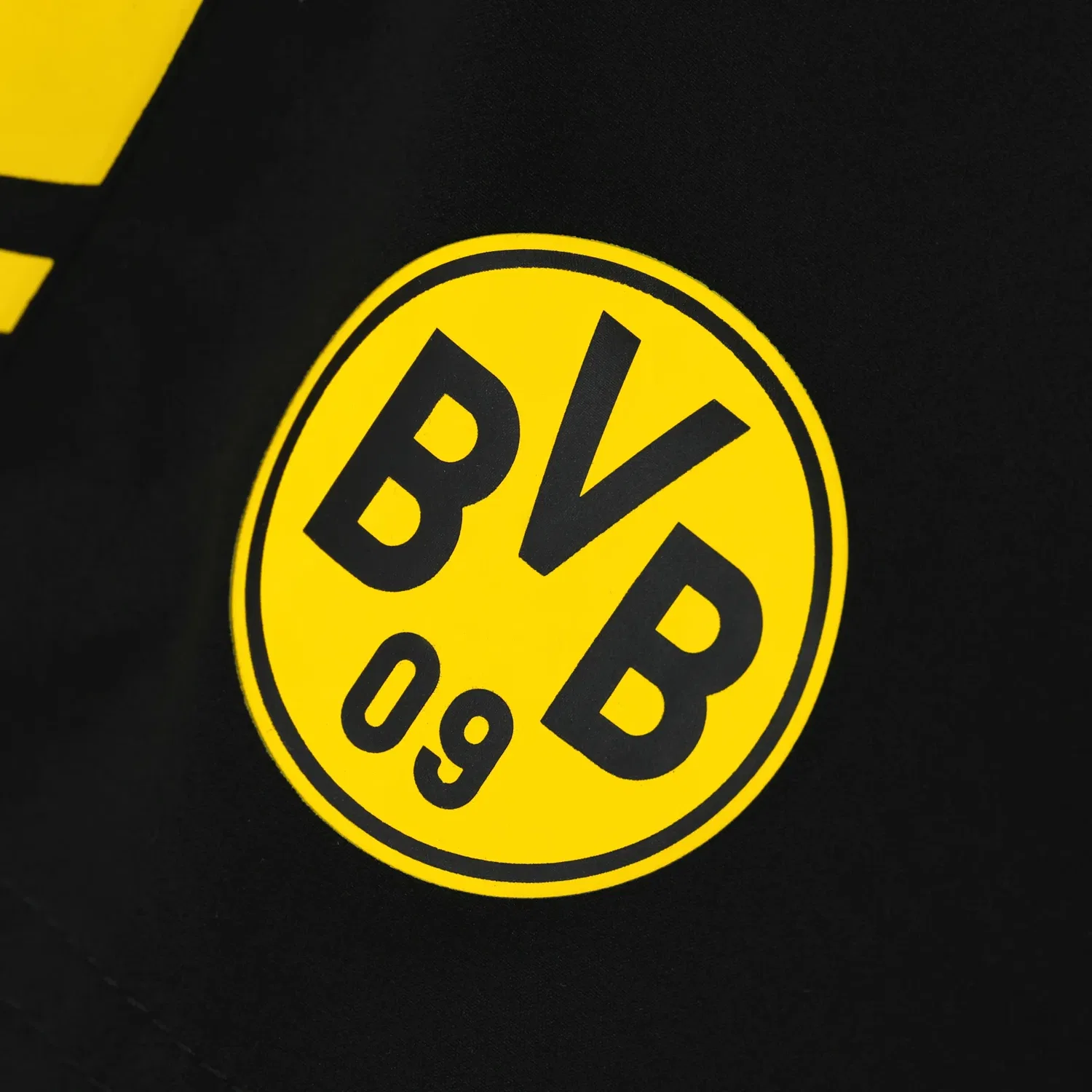 Плавки детские черные Bvb, черный — фото 3