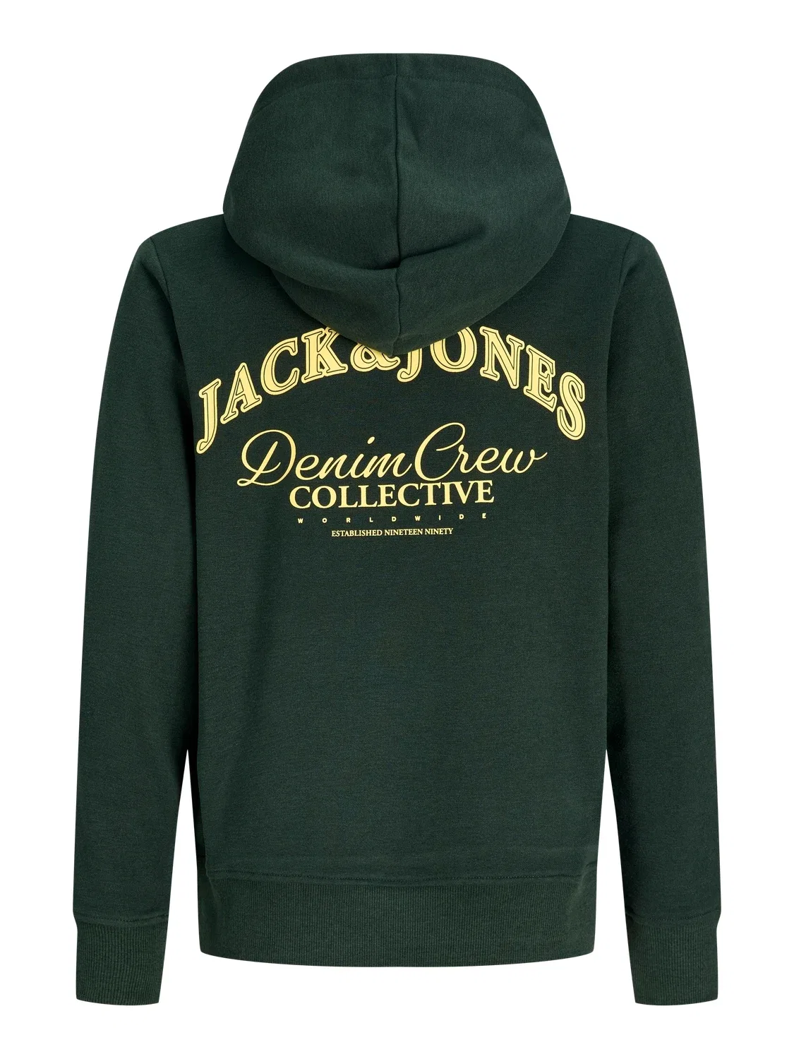 Худи с принтом JJEBRANDES BACKP RELAXED SWEAT Jack & Jones Junior, зеленый — фото 2