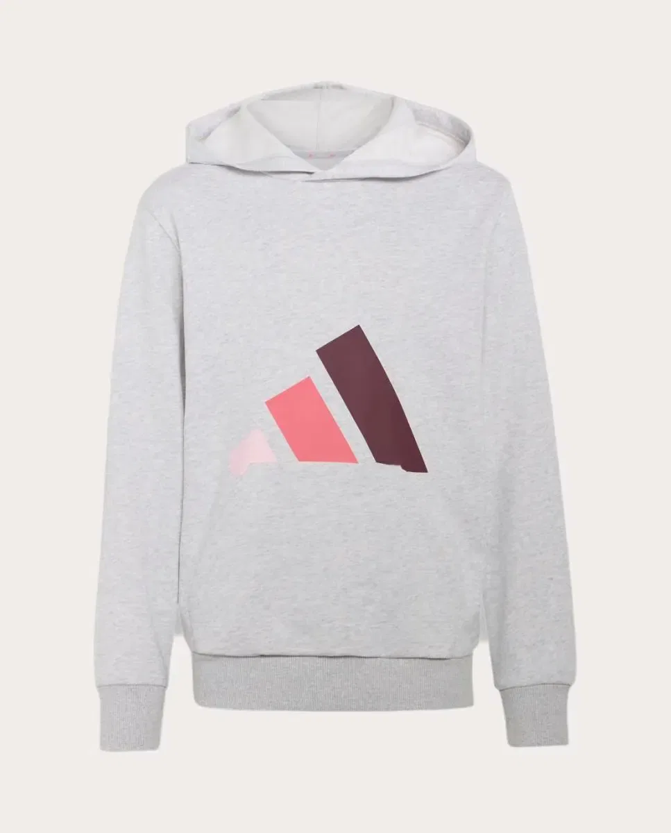 Детская худи для мальчиков с капюшоном adidas, Gris