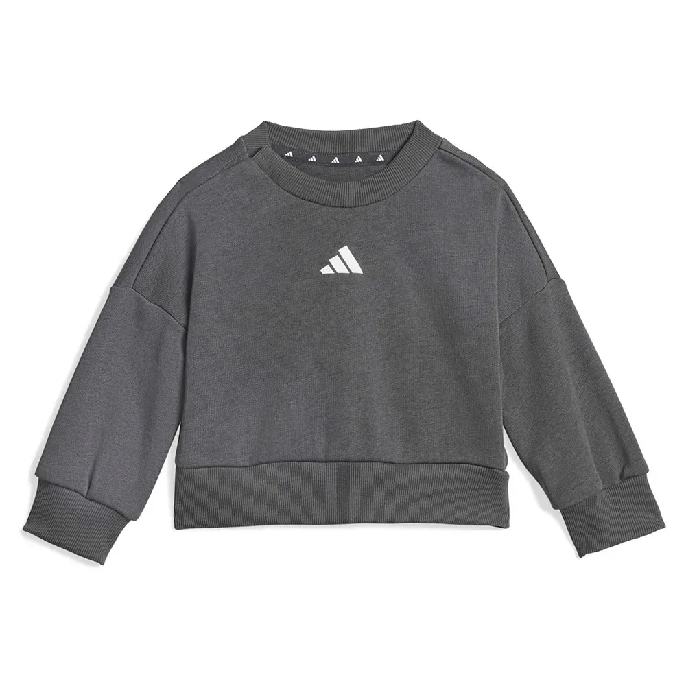 Комплект Adidas Seasonals Sweat, серый — фото 2