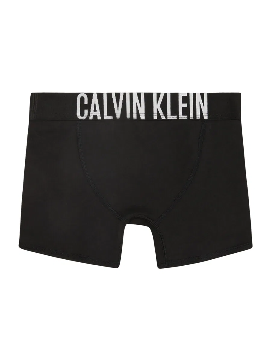 Трусы Calvin Klein Underwear, стандартные, серые и черные — фото 2