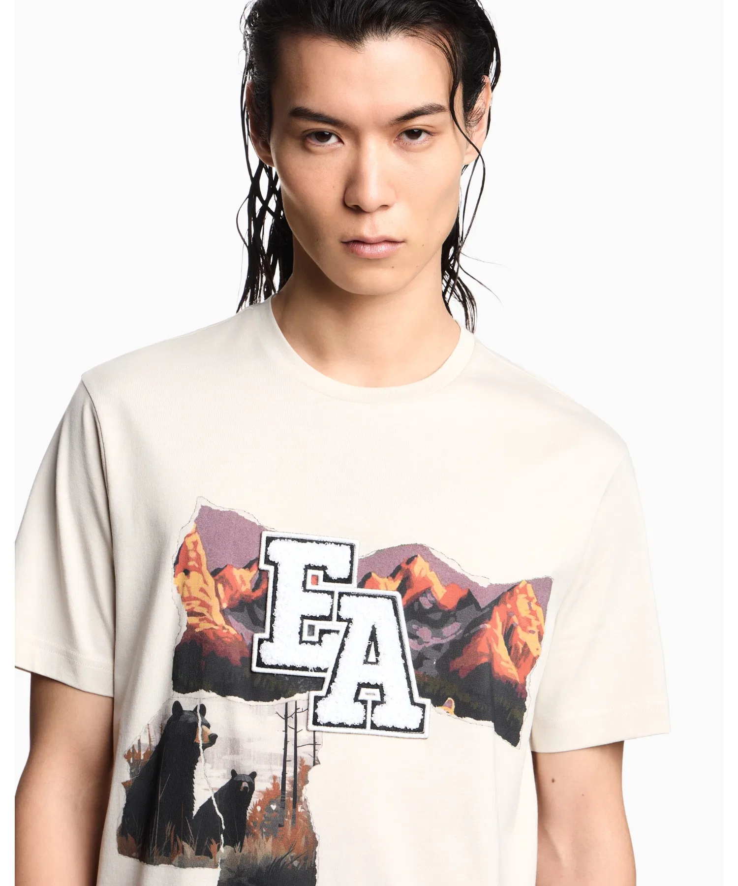 【Emporio Armani】Футболка Apres, трикотажная, с принтом «Горы»