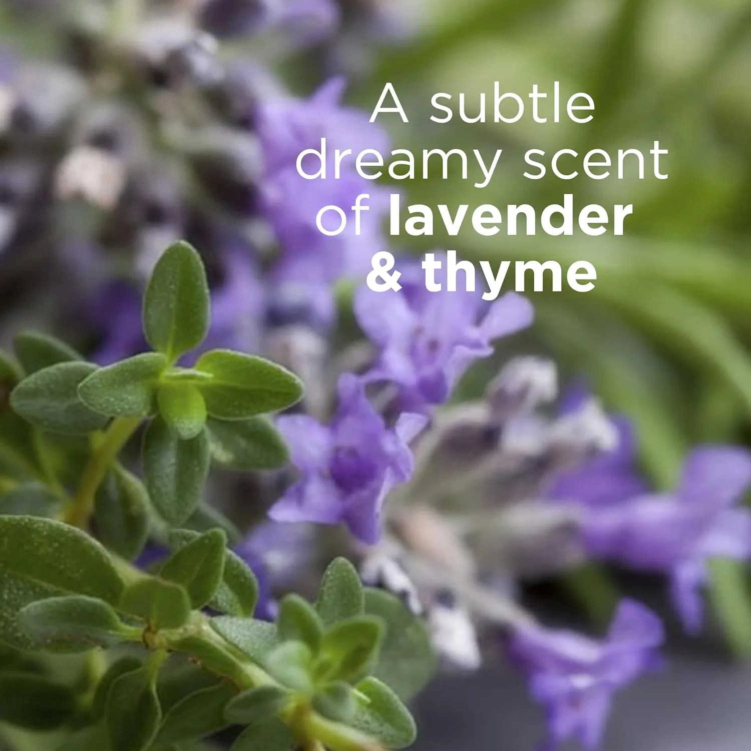 Лосьон для тела Andalou Naturals Lavender Thyme Refreshing, 236 мл — фото 4
