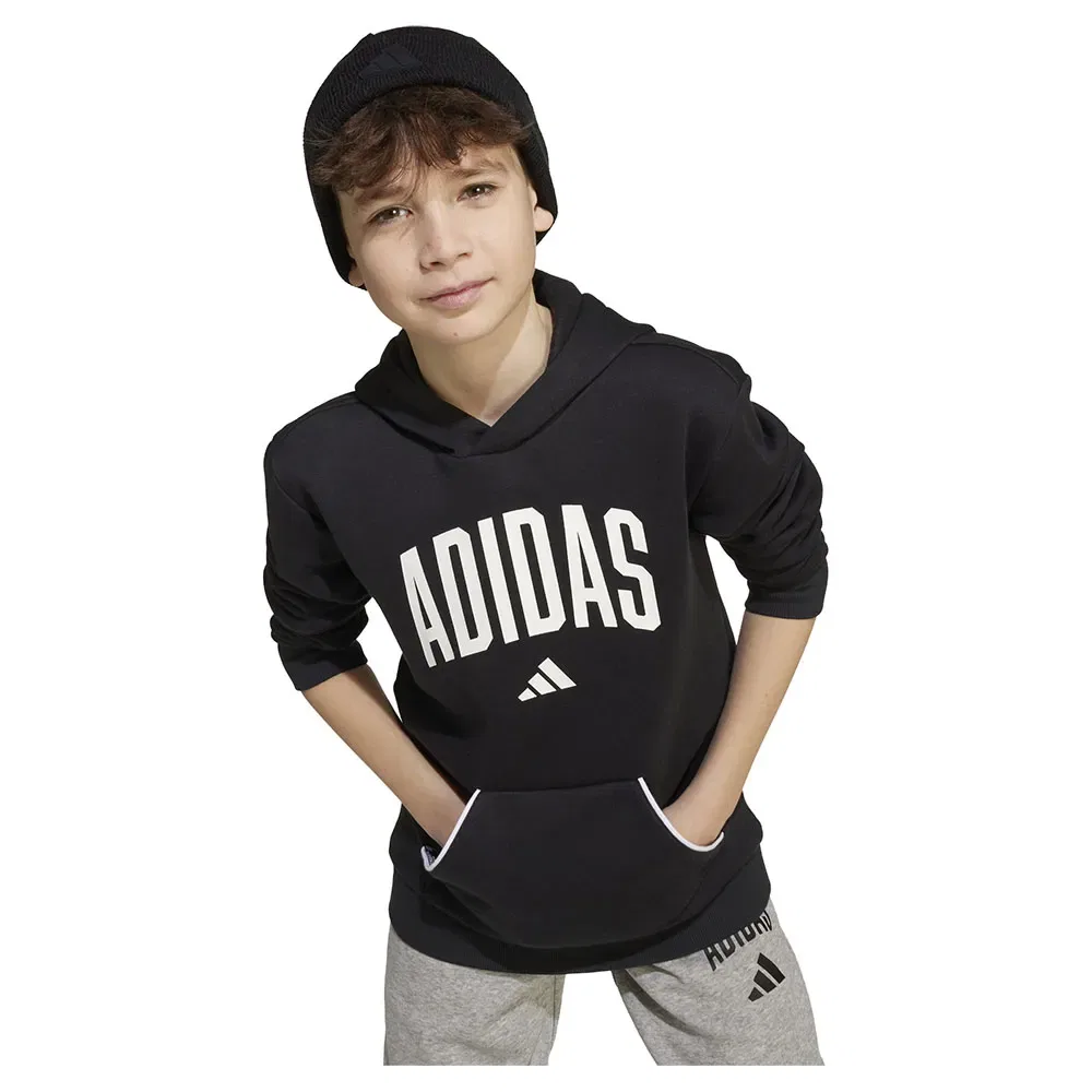 Худи Adidas Seasonals Essentials Collegiate Typography, черный — фото 4