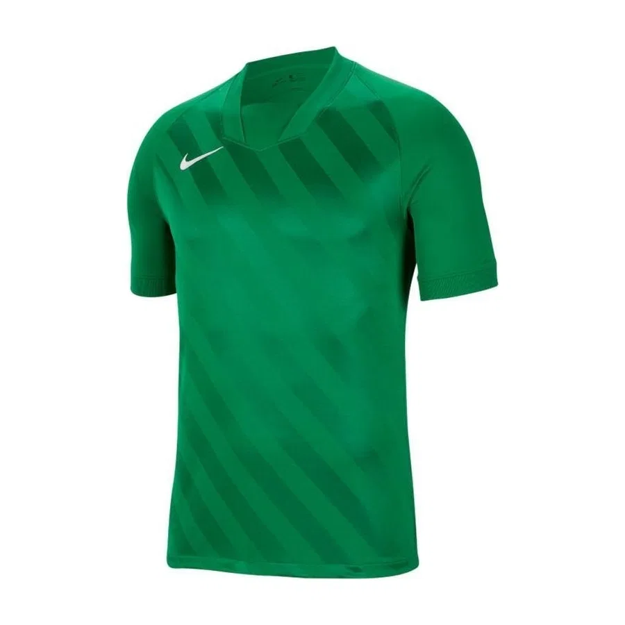 Футболка спортивная мужская с V-образным вырезом Challenge III Nike, S, Зеленый