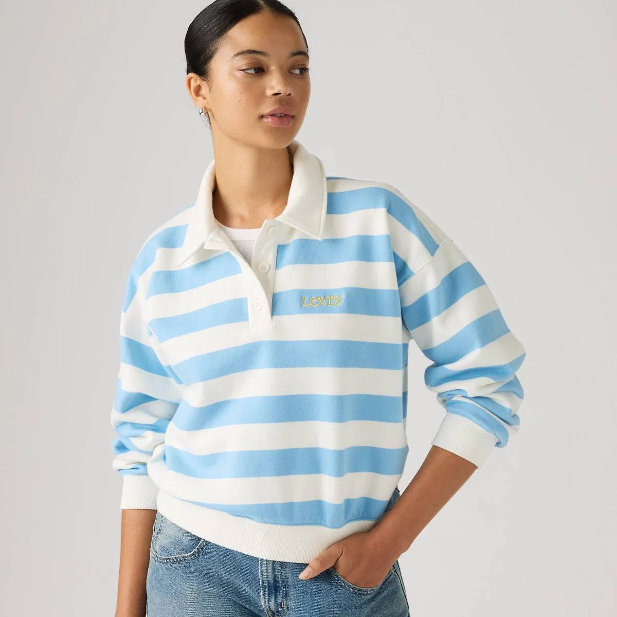 Графический винтажный флис для регби Levi's, Stripe Rugby Arch Logo Alaskan Blue - Multi-Color