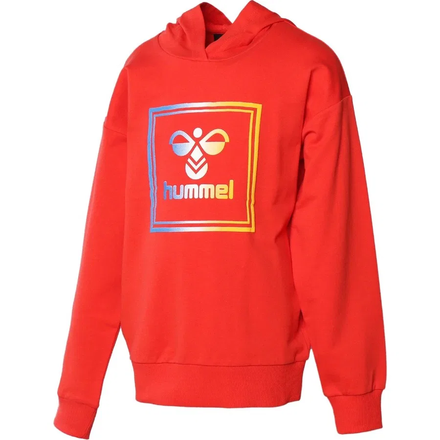 Детский свитшот с капюшоном Leiden Hoodie Hummel, Красный — фото 2