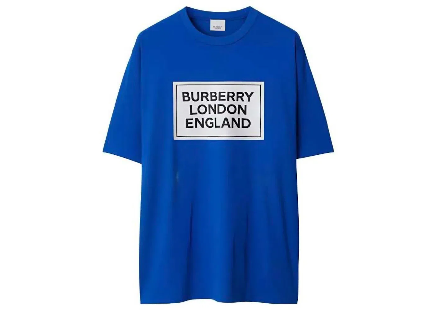 Мужская футболка с принтом Burberry Ellison Logo Print, Canvas Blue