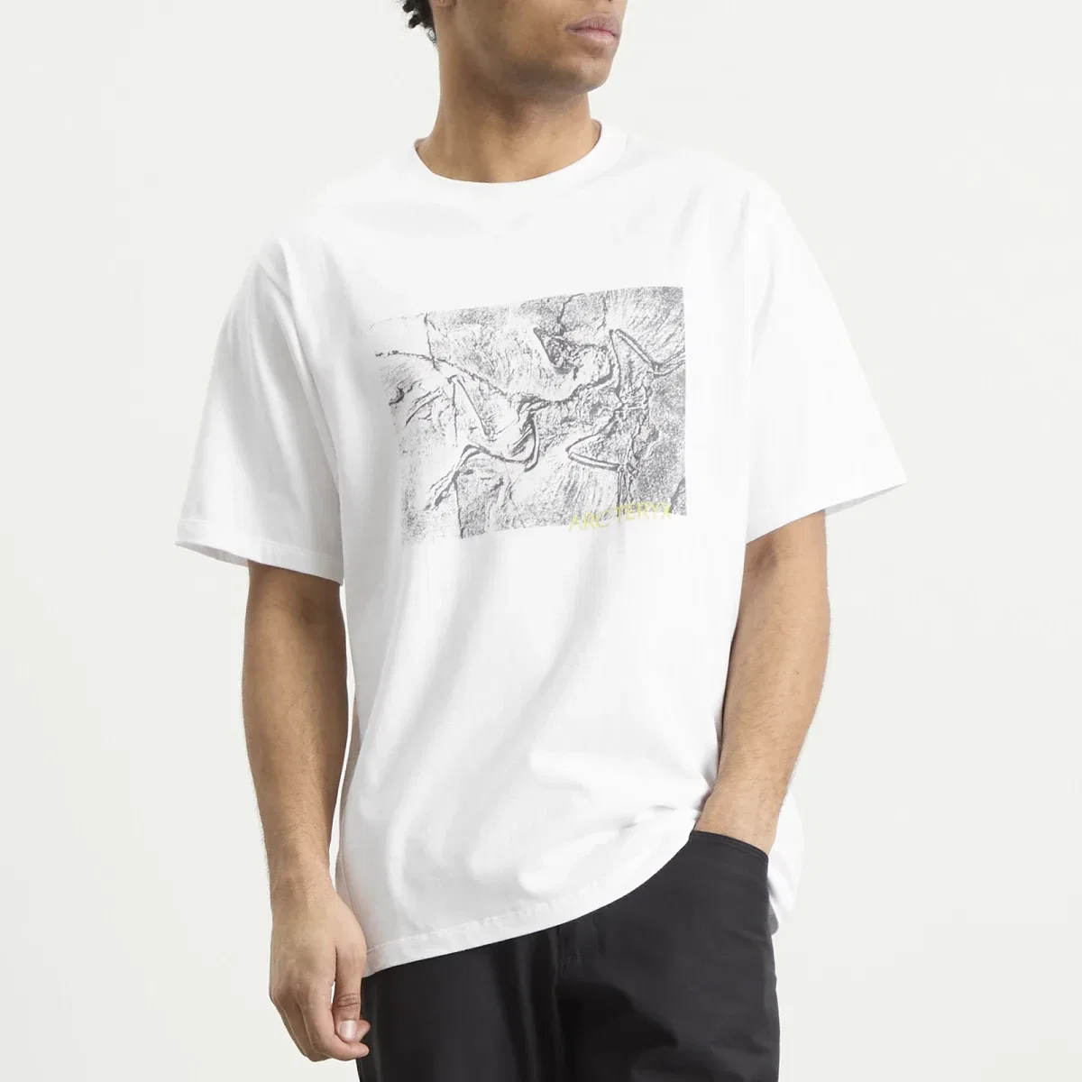 Футболка хлопковая с принтом Kragg Lithographica Arcteryx, White Light — фото 2